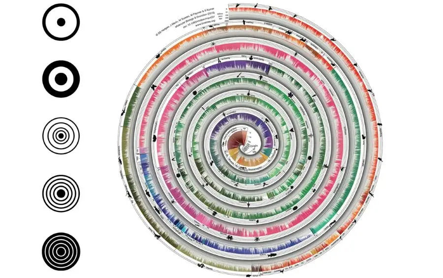 Circular Radial Visualizer - MEKANSM